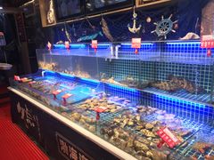 水产区-必点海鲜·鲅鱼水饺(鞍山西道店)