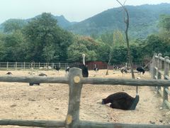 -西安秦岭野生动物园