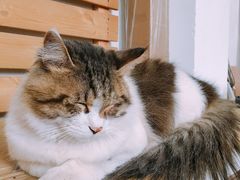 -五月木作·DIY木作文创体验店(北京路店)