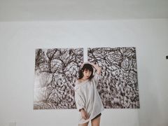 -胶囊画廊