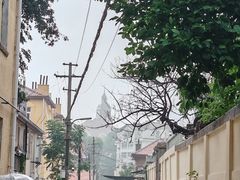 -青岛海滨风景区