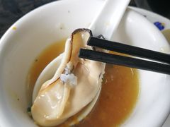 -蚝专家