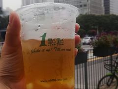 四季春+珍波椰-1点点(东门电玩城店)