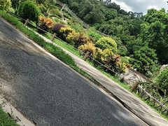 -东莞植物园