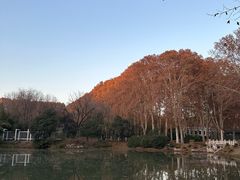 -河南省黄河迎宾馆
