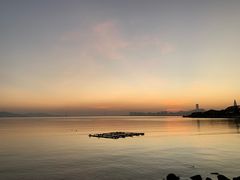 -深圳湾公园(南山区)