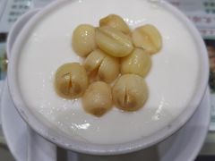 -义顺牛奶公司(新马路老店)