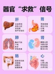 点击看大图 -香薇妮丝女子减肥院