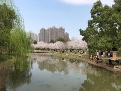 -堤角公园