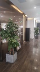 -崇尚GAVIN STYLE臻选