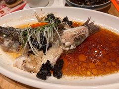 油榄角蒸鲈鱼-虾饺妹·酒家(海珠广场店)