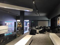 -奥斯卡升龙国际影城(RealD Cinema)