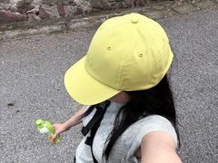 -雨花胜境