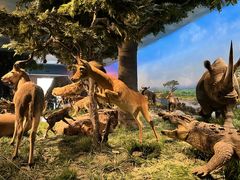 -国家自然博物馆