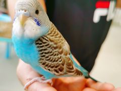 -怪兽屋·羊驼·猫咖·狗咖(俊华广场店)