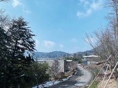 -溪口商量岗景区