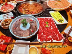 -一斗火锅·招财羊毛肚(北温泉九号店)