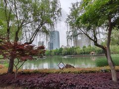 -新虹桥中心花园