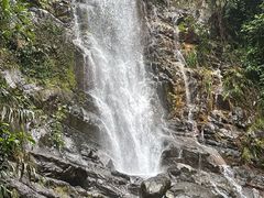 -鼎湖山风景区