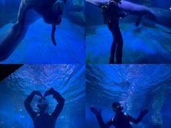 -烟台海昌鲸鲨海洋公园