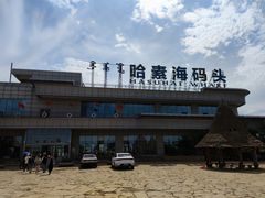-哈素海