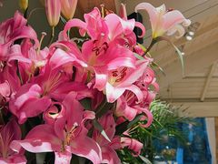 -春暖花开(西溪店)