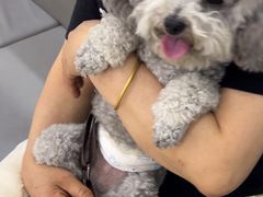 -pd派德宠物中心医院24H急重症·眼科中心·血液透析中心(嵩山北路店)