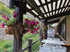 -Local泰莲庭(虹鳟鱼店)