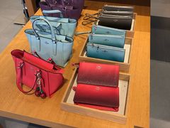 -COACH蔻驰(百联奥特莱斯广场店)