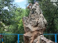 -荆州中山公园动物园