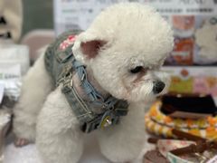 -七彩云南第壹城