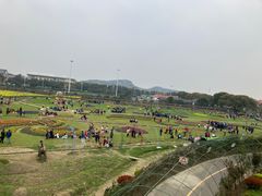 -苏州太湖西山岛开心农场