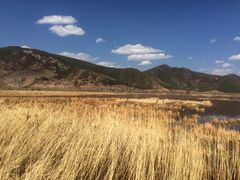 走婚桥-泸沽湖国家级风景名胜区走婚桥