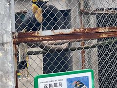 -合肥野生动物园