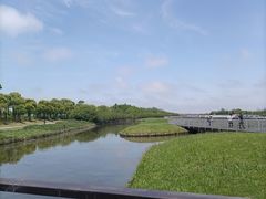 -春花秋色城市公园