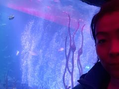 -沈阳海洋探索中心