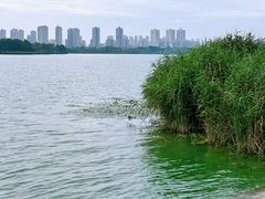 -长广溪湿地公园