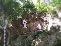 -上海佘山国家森林公园西佘山园