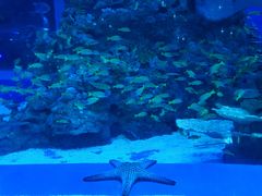 -成都浩海立方海洋公园