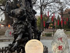 -大槐树寻根祭祖园