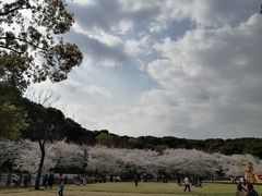-苏州上方山国家森林公园