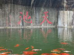 -千岛湖东南湖区