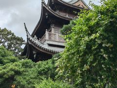 -龙华素斋(龙华路店)