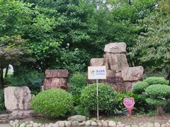 -洪山公园