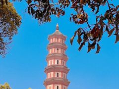 -广州莲花山旅游区