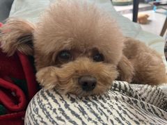 -沐沐家宠物(成寿寺店)