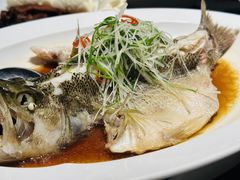 -望京辣宴·古法川菜(望京店)