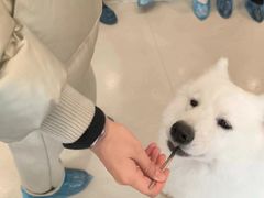 -共舞时光猫咖·狗咖(新街口店)