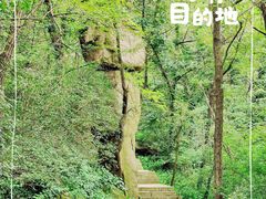 -青岛大珠山景区