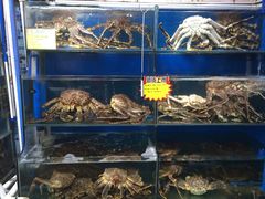 -蚝专家(北滘店)